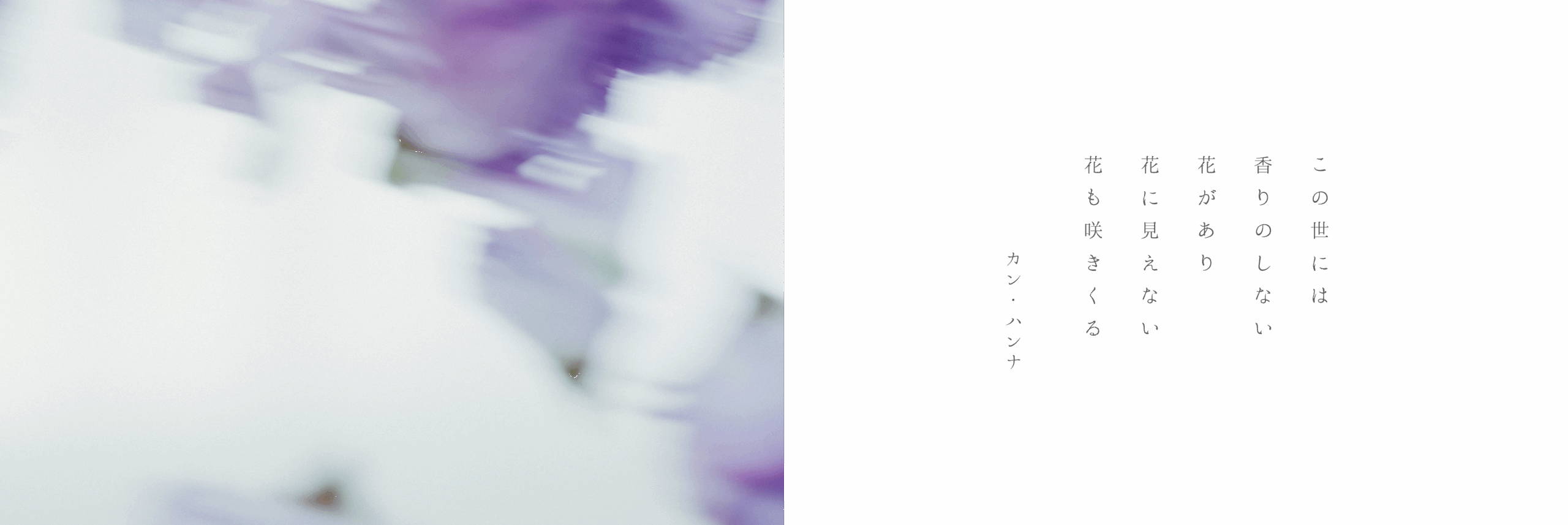 涙さえ 雨粒となり 我が愛を 育ててくれる 夜がはじまる カン・ハンナ