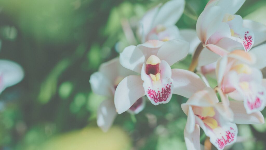 去りゆく年も、迎える年も