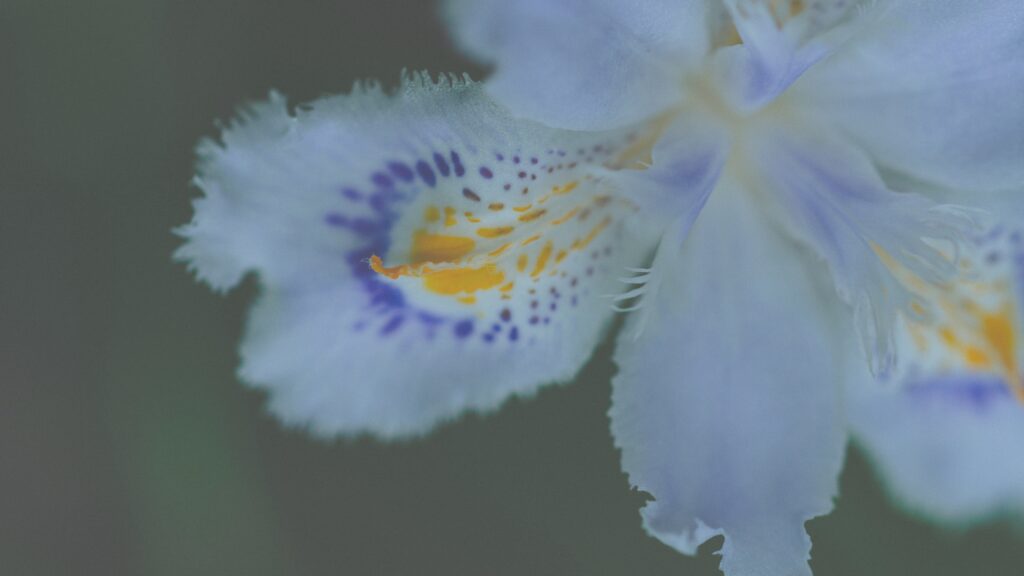 好きな方が多い商品を見直すことは