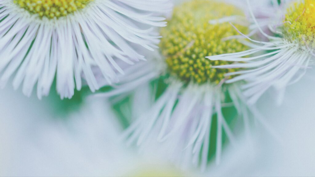 私が肌を磨き続ける理由