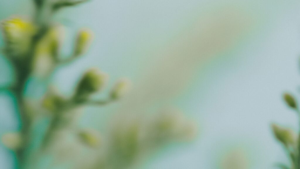 立ち止まる勇気