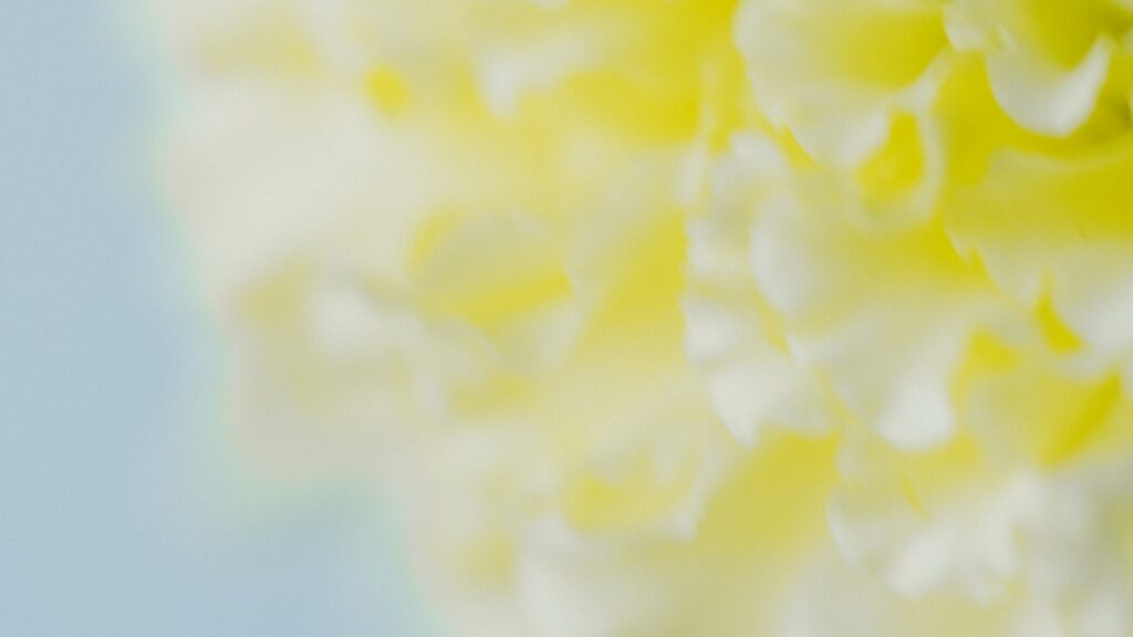 「ビューティフル」と言われたある日のこと