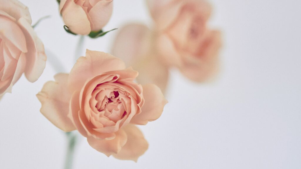 想いを守りつつ、形は変えつつ