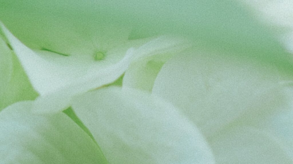 花粉の季節の肌荒れには