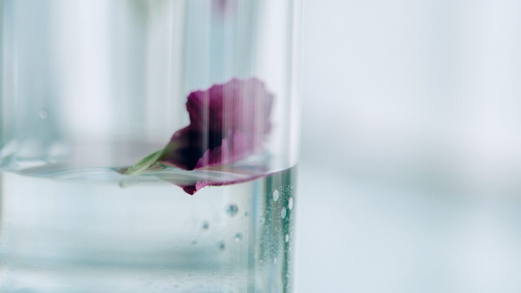 日本に戻る飛行機の中で