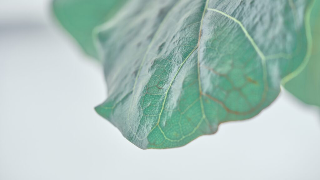 良いものがより注目される日を待ちつつ